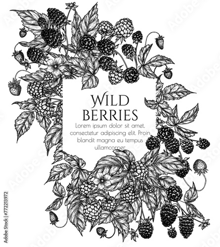 Vector frame of edible forest berries. Raspberries, blackberries, strawberries in engraving style