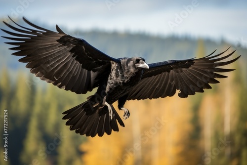Graceful Raven bird fly closeup. Ink animal. Generate Ai