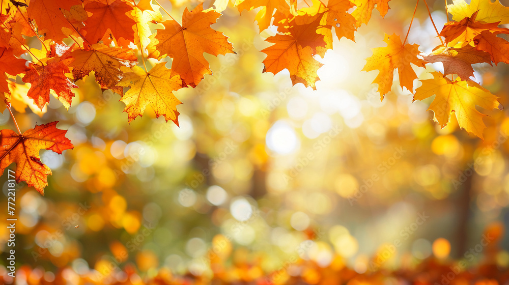 A carpet of vibrant red, orange, and yellow maple leaves blankets the ground beneath a colorful autumn tree A carpet of vibrant red, orange, and yellow maple leaves blankets the ground beneath a colorful autumn tree