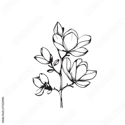 Magnolias in cartoon  doodle style . Image for t-shirt  web  mobile apps and ui. Isolated 2d vector illustration in logo  icon  sketch style  Eps 10  black and white. AI Generative