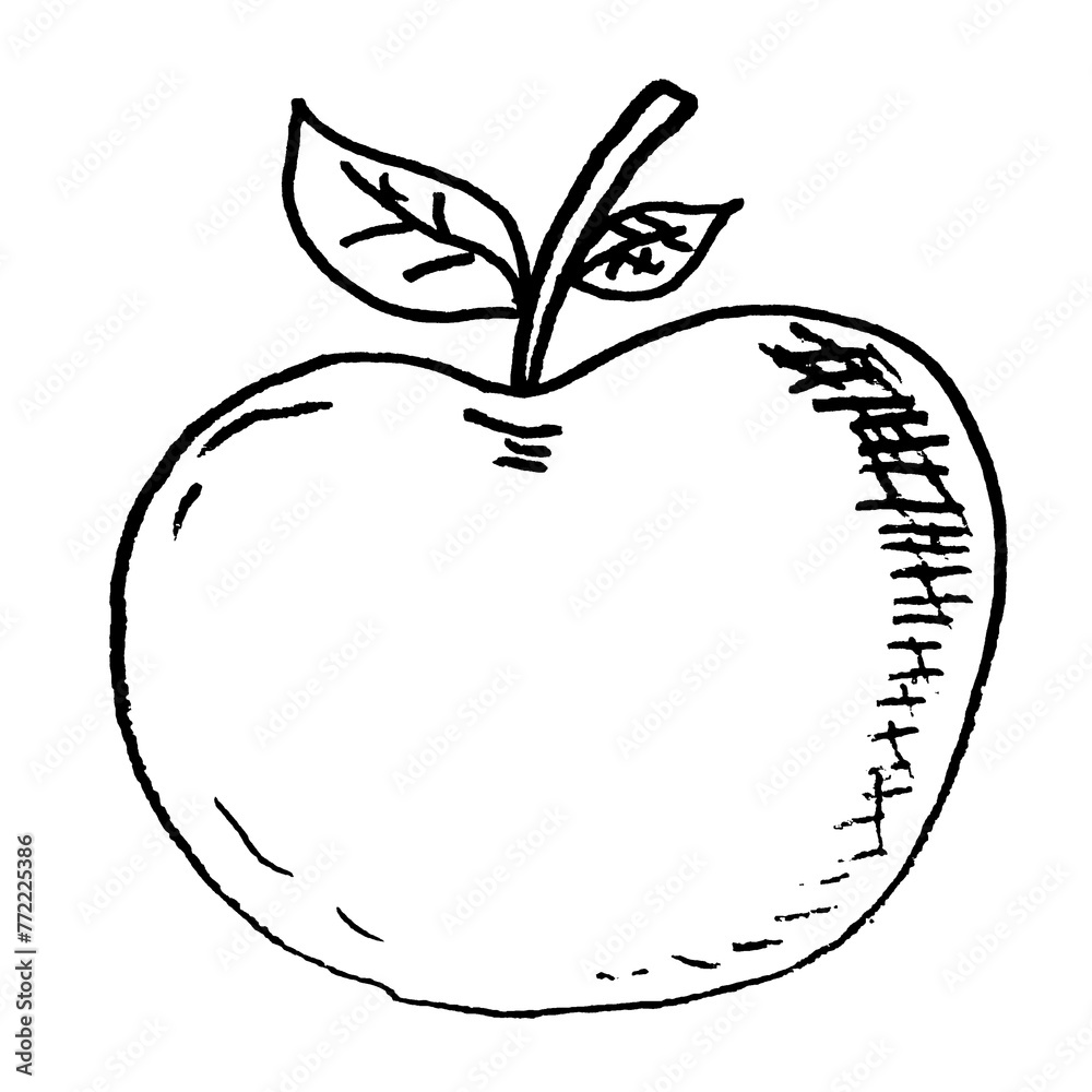 Sketch illustration of an apple Sketch illustration of an apple