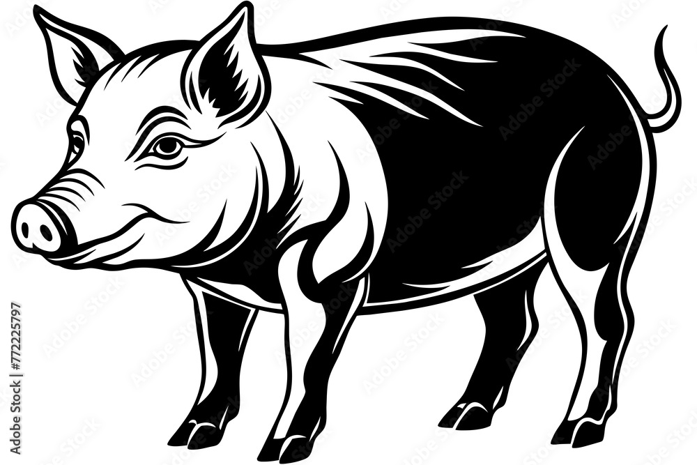 pig-vector-illustration