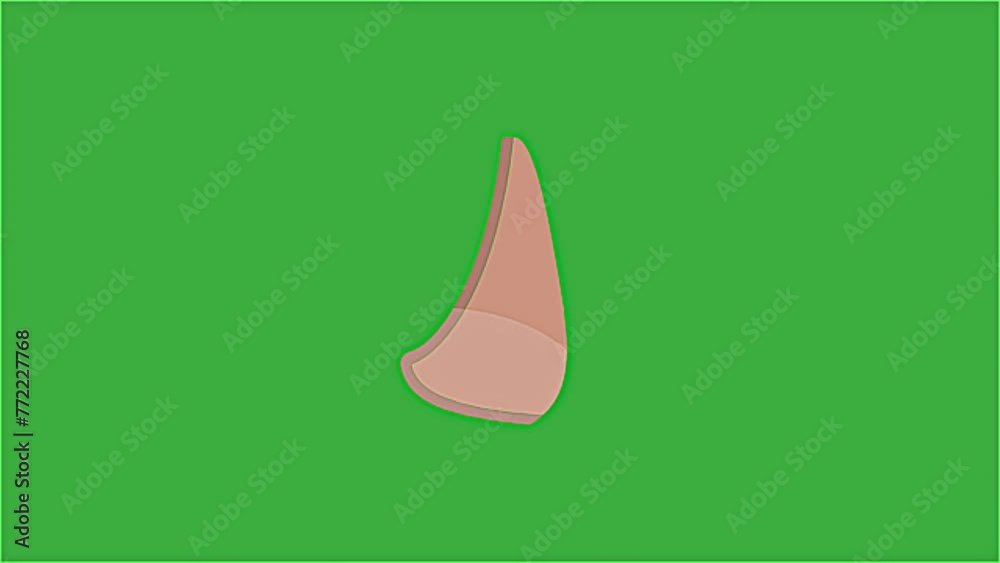 Video animation of a nose moving on a green screen background Video animation of a nose moving on a green screen background