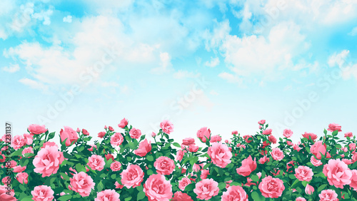 バラ園　薔薇　風景　背景素材　水彩画　ポストカード　メッセージカード　ポスター　挿絵　イメージ　16:9 photo