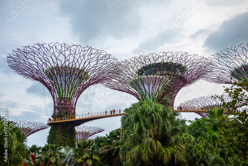 Singapore, Gardens by the Bay and Supertree Grove, Golden Garden