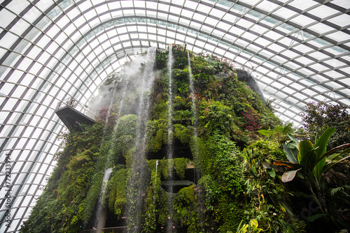 Singapore Cloud Forest. The famous rainforest under the dome