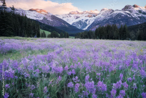Lush green alpine meadows bursting with wildflowers climb towards snow-capped mountain peaks © MobbyStock