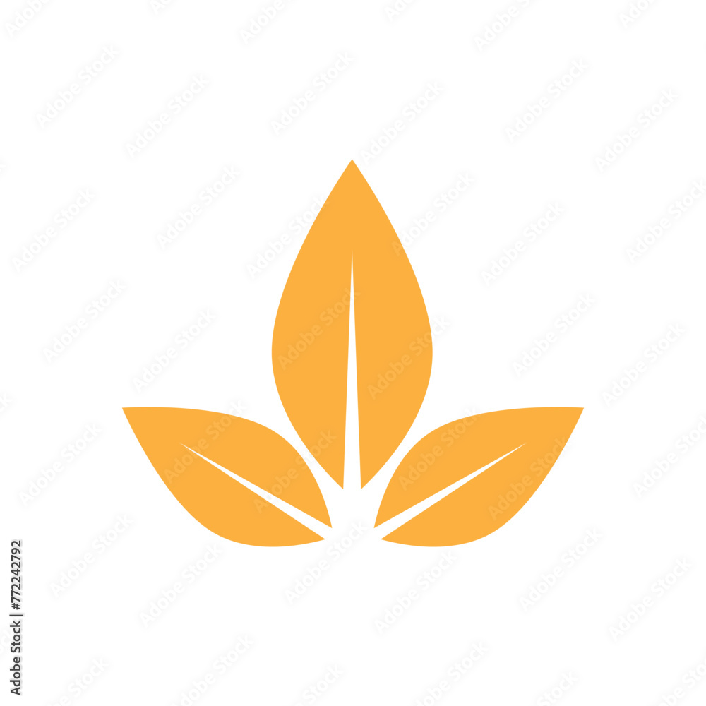 abstract orange flower