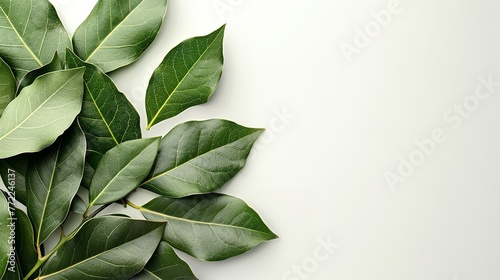 Fresh, dulcet bay leaf exquisitely decorated over a white setting herbs uses for lovely health and space, Generative AI. photo