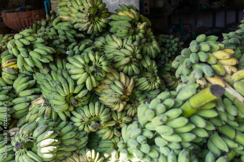 Fototapeta premium Selective focus green bananas being loaded onto trucks. Many bananas from the orchards are sent to merchants who buy bananas for the fruit market. Sometimes bananas are sent as food to elephant farms.