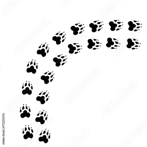 Pet paw print foot trail. Hand drawn, modern calligraphy, line on white background, isolated vector illustration. (ID: 772255576)
