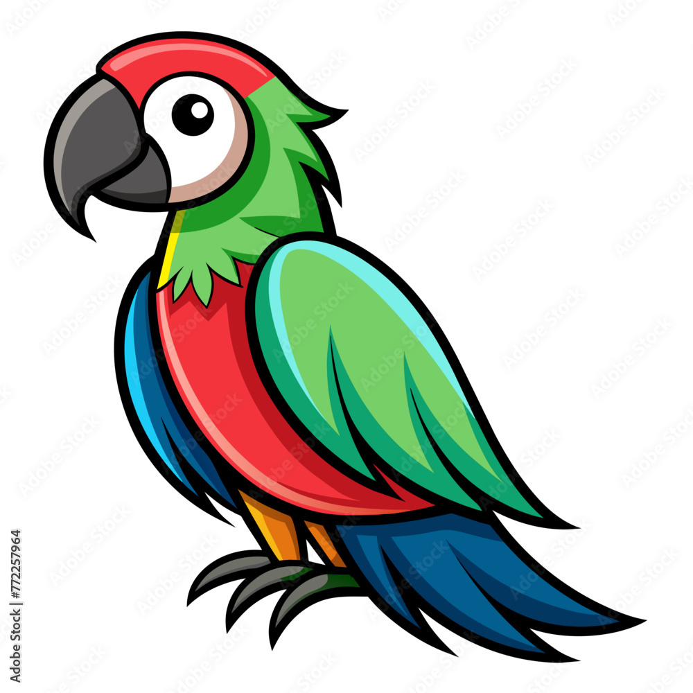 parrot on a white background parrot on a white background
