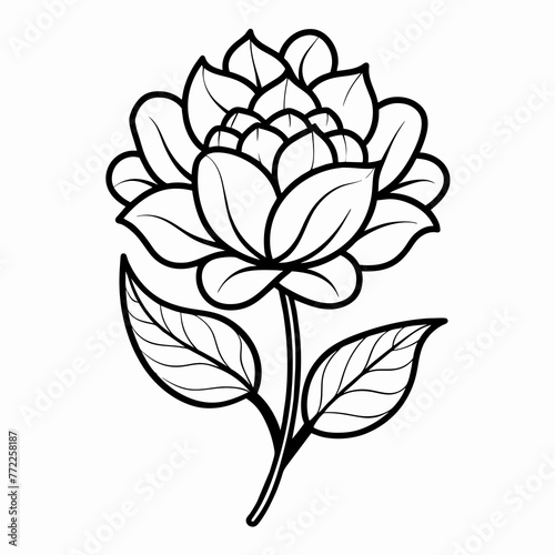 Monochrome Blossoms  Vector Silhouette Illustration of Flowers