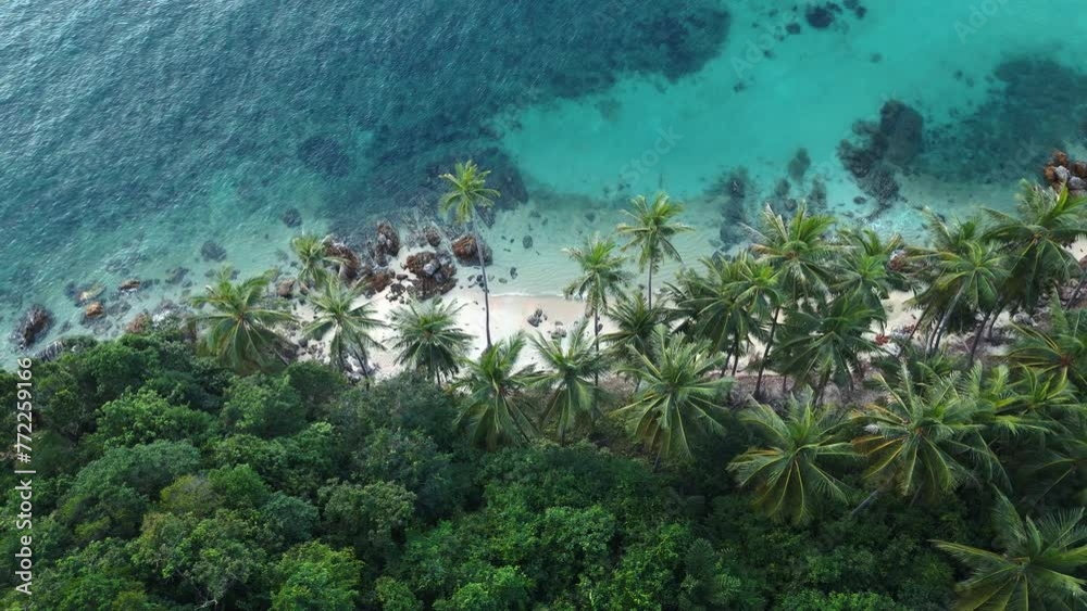 Beach with palms and azure waters on tropical island exudes exotic allure. This serene panorama embodies exotic essence of nature's beauty, defining quintessence of exotic destinations.