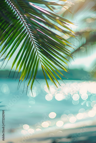 
Blur beautiful nature green palm leaf on tropical beach with bokeh sun light wave abstract background