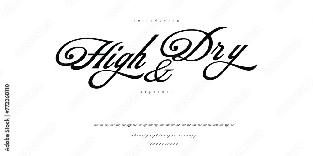 modern script alphabet font handwritten

