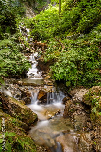 Small waterfall at the Finsterbachfall in Austria