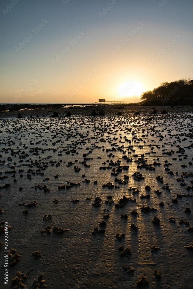 Sunrise reflecting shadows of lugworm hills in the sand at Bembridge beach UK