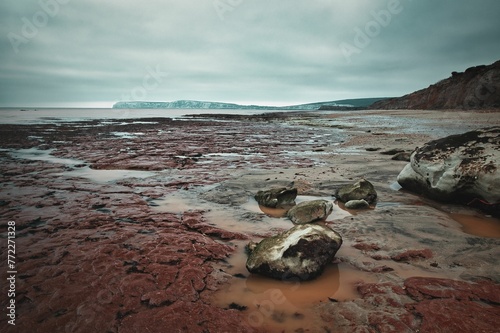 Scenic rocky beach on a cloudy day is dotted with red algae-covered rocks against the gray sky