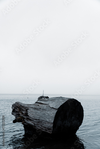 Vertical shot of a wooden log in the ocean on a foggy day with a blurry background