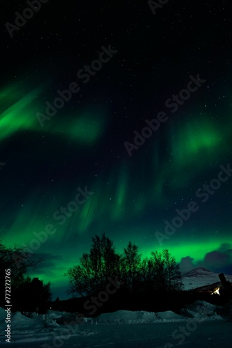 Vertical shot of a hill covered in snow during the Northern Lights