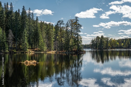 Fototapeta Naklejka Na Ścianę i Meble -  Scenic view of a tranquil lake surrounded by lush pine trees