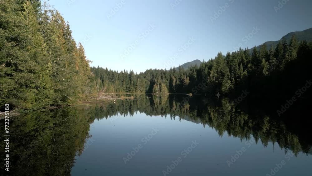 Aerial of a calm lake surrounded by a green forest with trees reflected in the waters on a sunny day