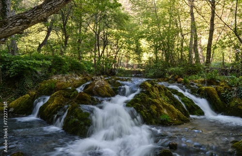 Fototapeta Naklejka Na Ścianę i Meble -  Scenic view of a cascading waterfall surrounded by lush greenery and mossy rocks