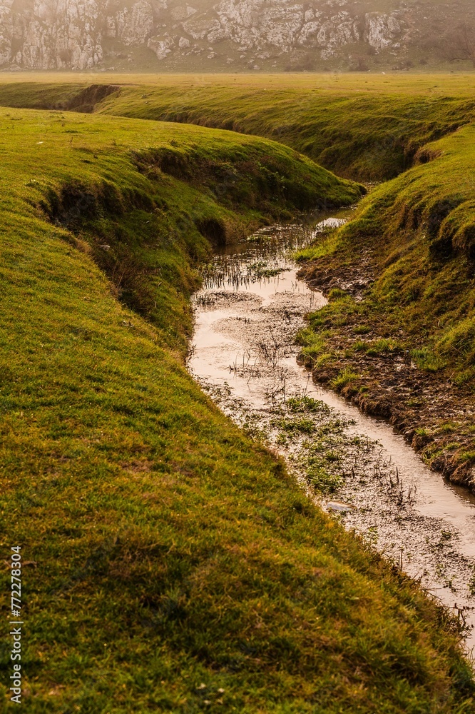 Small river in Dobrogea Gorges, Romania between the grassy meadow