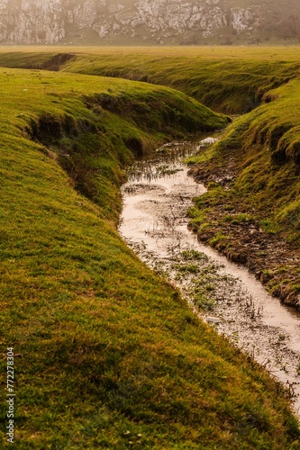 Small river in Dobrogea Gorges, Romania between the grassy meadow © Wirestock