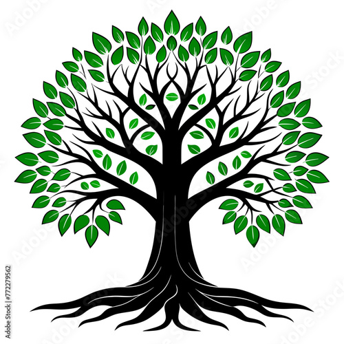 trees with roots silhouette 