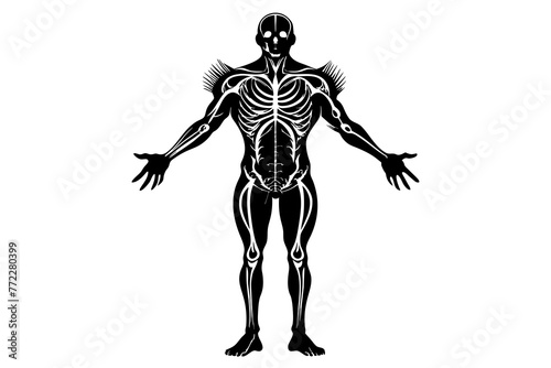 Antique anatomy overlay black silhouette vector design.