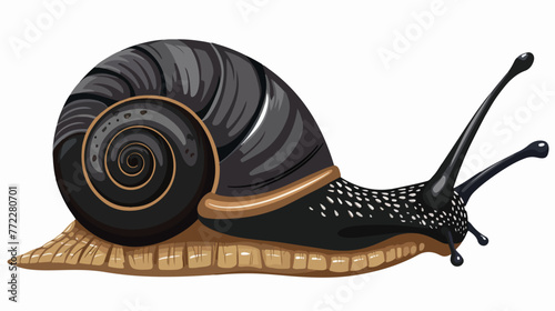Blakc snail on white background illustration flat c