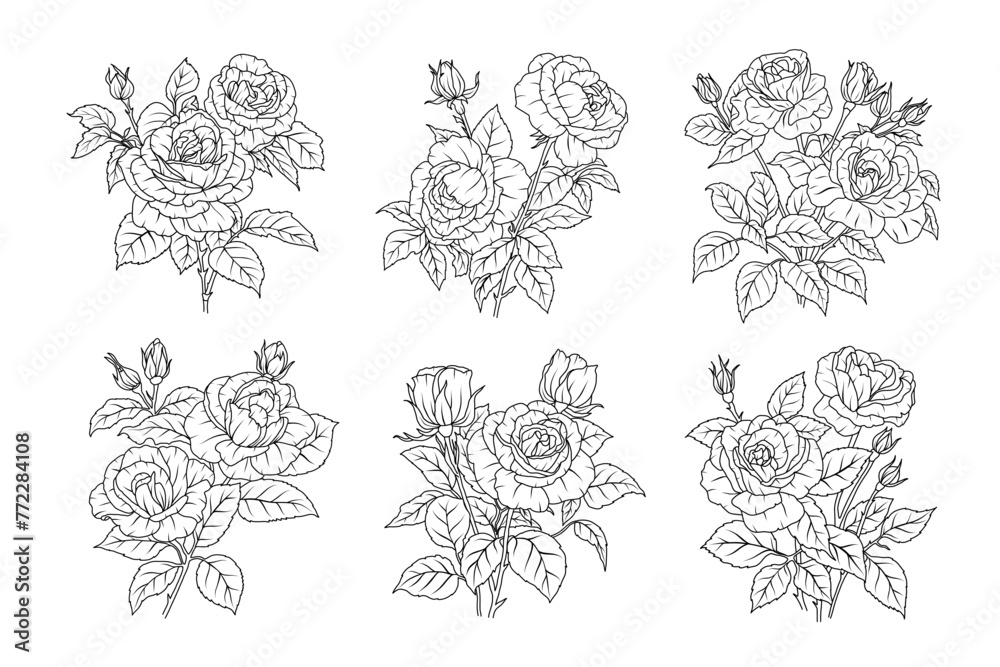 Set of rose flower line art. Floral black sketch outline bouquets. Rose with leaves simple botanical plant. Vector illustration for tattoo design, coloring pages for kids, wedding invitation