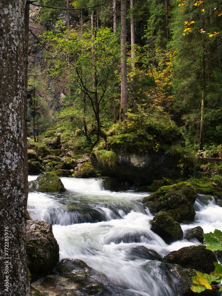 Scenic view of a cascading waterfall surrounded by lush green trees in Golling, Austria Scenic view of a cascading waterfall surrounded by lush green trees in Golling, Austria