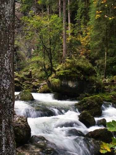 Scenic view of a cascading waterfall surrounded by lush green trees in Golling, Austria