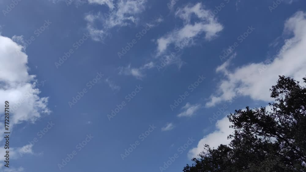 Clouds move in the bright sky with trees in the background Clouds move in the bright sky with trees in the background