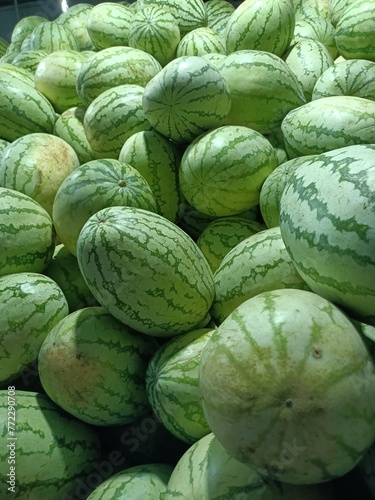 Watermelon is a flowering plant species of the Cucurbitaceae family and the name of its edible fruit. 