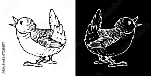 Illustration vector graphics of Zooland icon