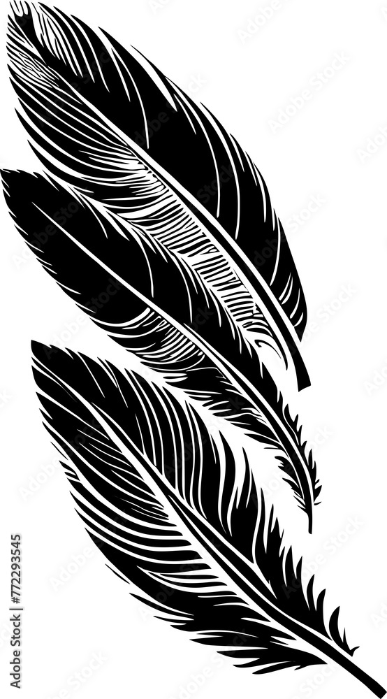 Obraz premium simple black outline drawing of three bird feathers, isolated element