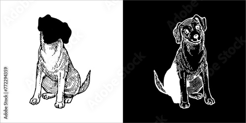 Illustration vector graphics of Zooland icon