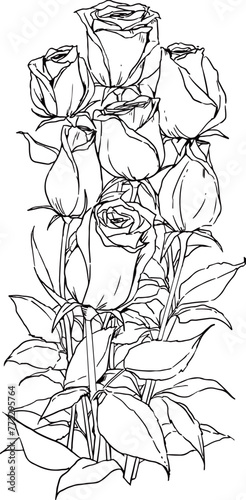 Black rose line illustration. Vintage feel.