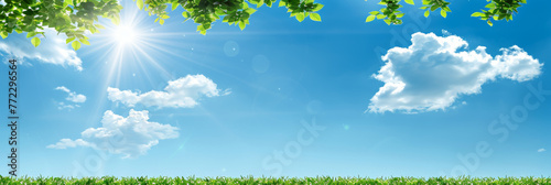 Sunny Skyline with Fresh Green Leaves and Vibrant Blue Sky