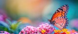A detailed close-up of a butterfly perched gracefully on vibrant flower petals.