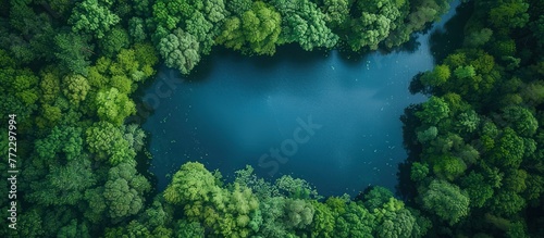 A drone captures the expansive view of a crystal-clear lake nestled among dense green trees in a serene natural setting.