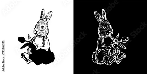 Illustration vector graphics of Zooland icon