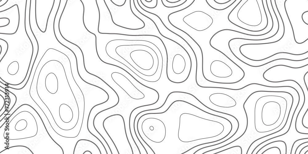 Topographic line map. Abstract circle lines background. Abstract blank detailed topographic contour map. Background of the topographic map. Line topography map contour background.