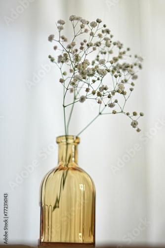 a glass bottle of flower photo