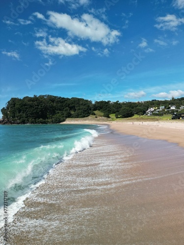 Vertical shot of a beach surrounded by the sea and greenery on a sunny day