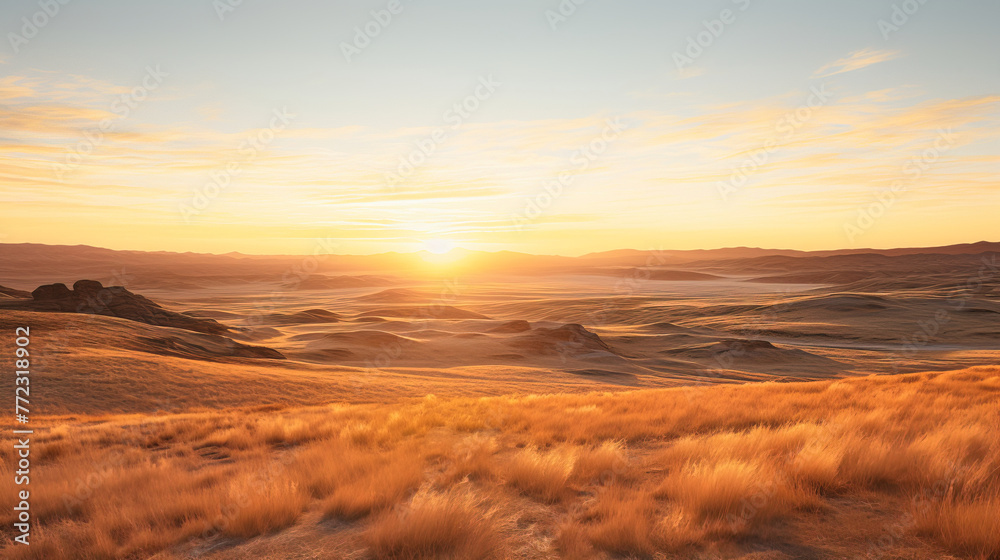 landscape with grass and sky.